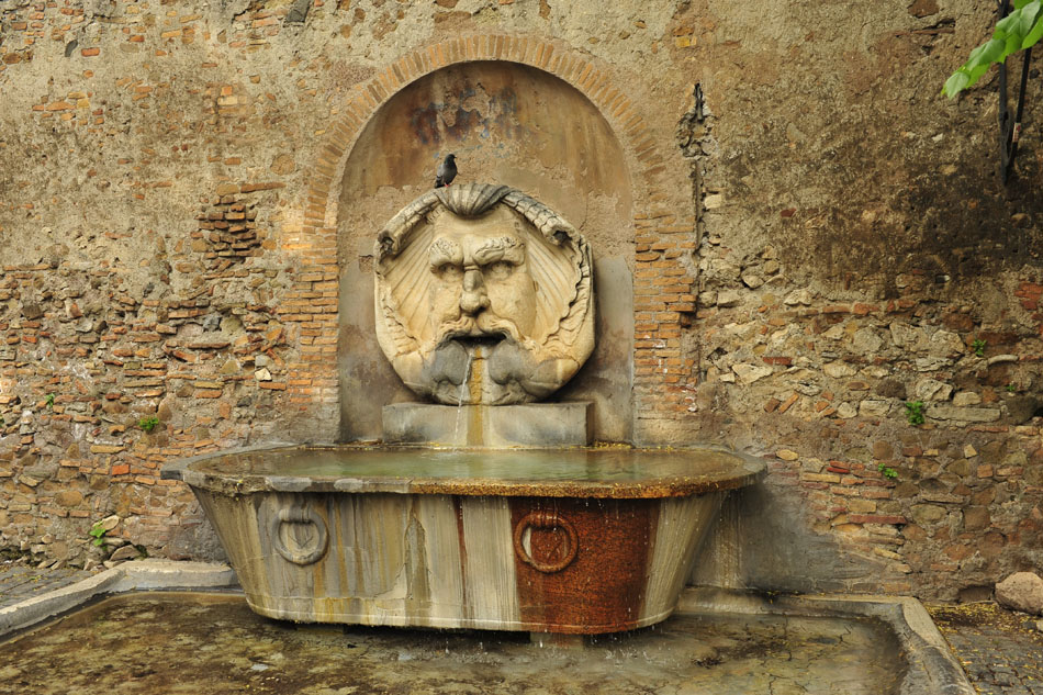 _DSC6564