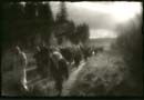 Photo-12