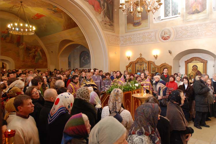DSC_3711