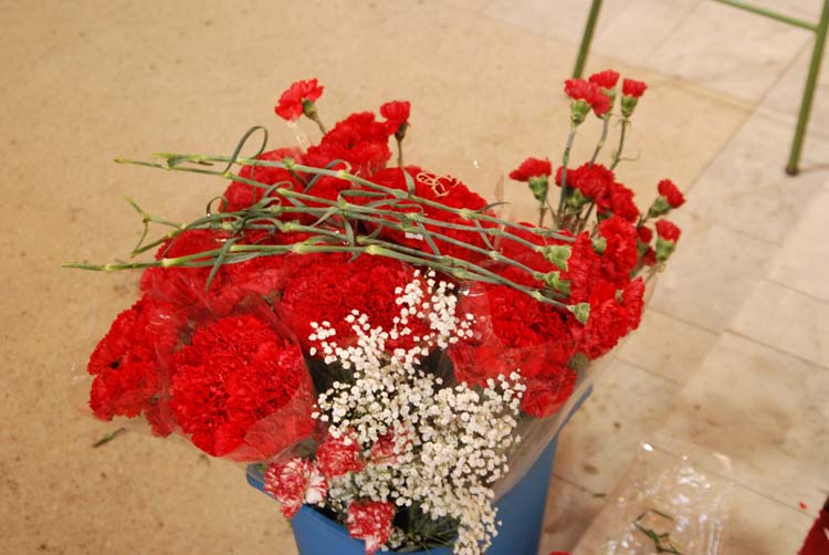 DSC_1173