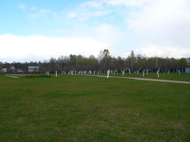 P1040274