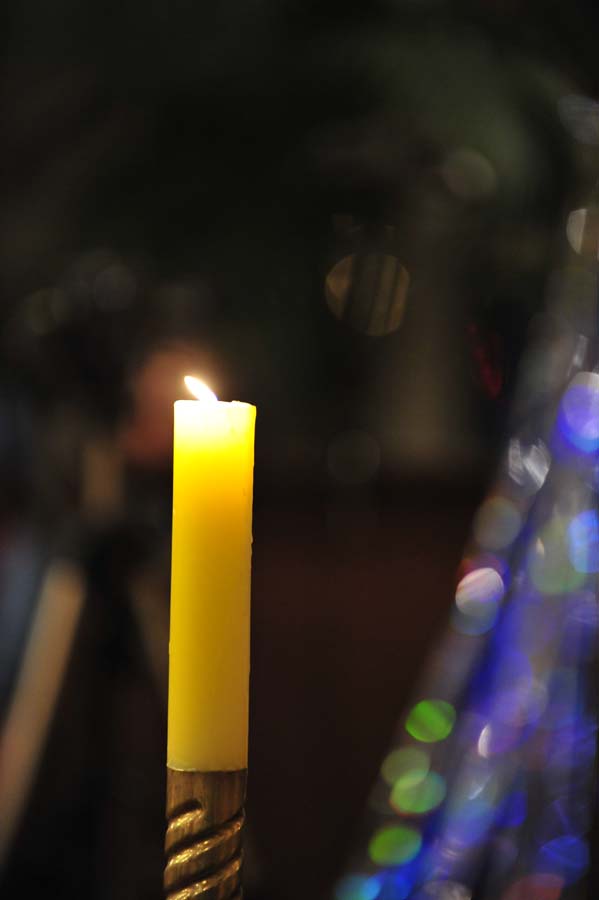 _DSC5536