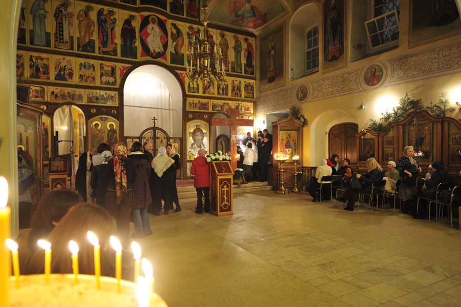 _DSC6102
