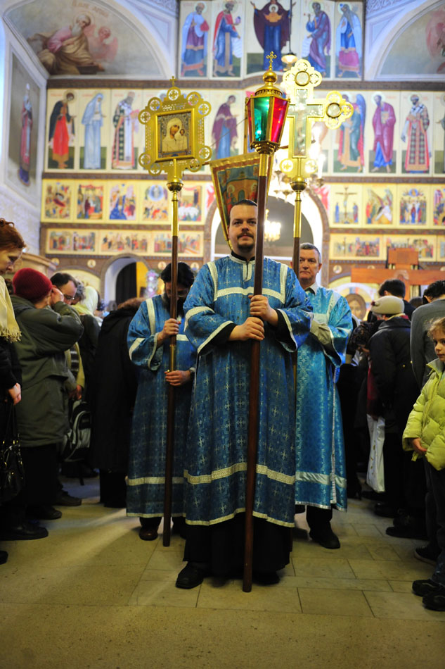 _DSC9519