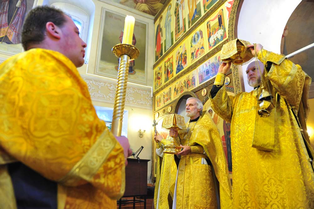 _DSC3137