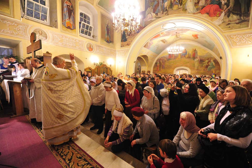 _DSC5494