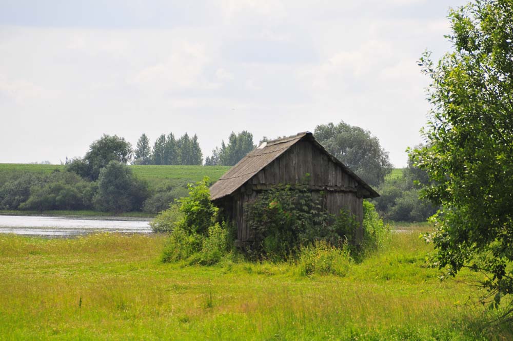 _DSC6917