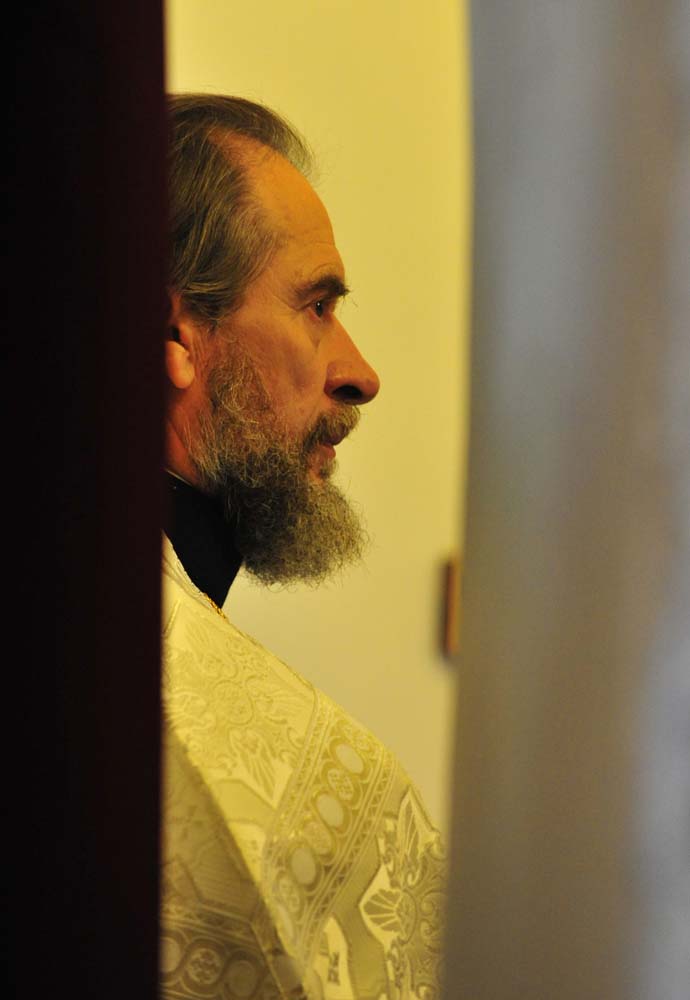 _DSC8224