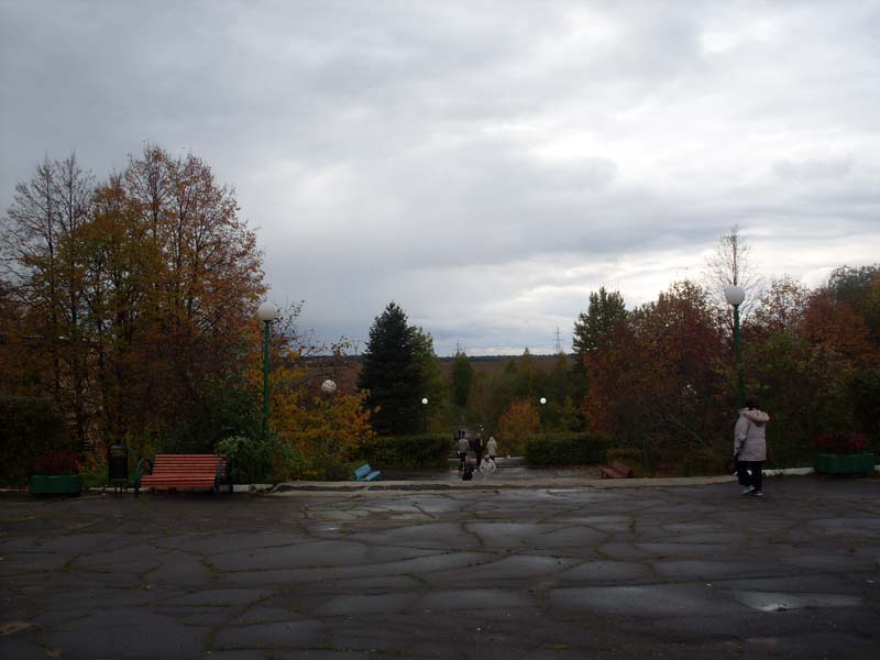 SDC14140