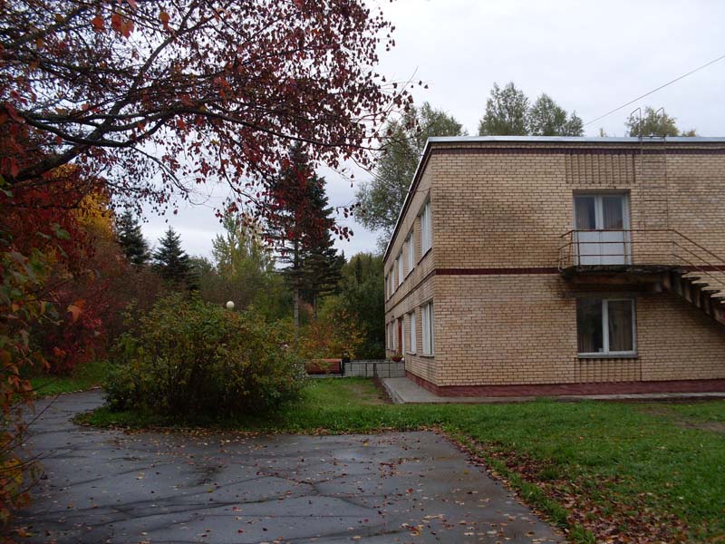 SDC14146