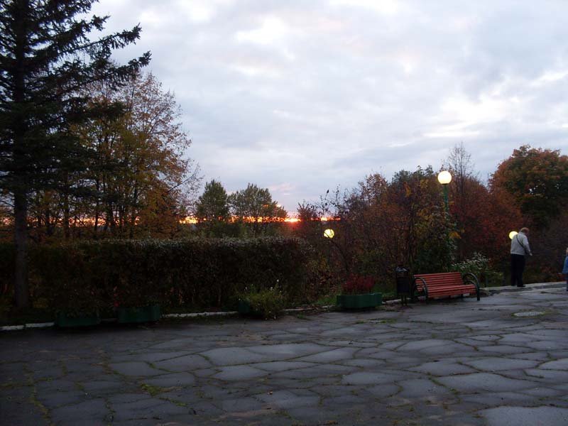 SDC14182