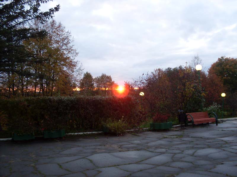 SDC14185