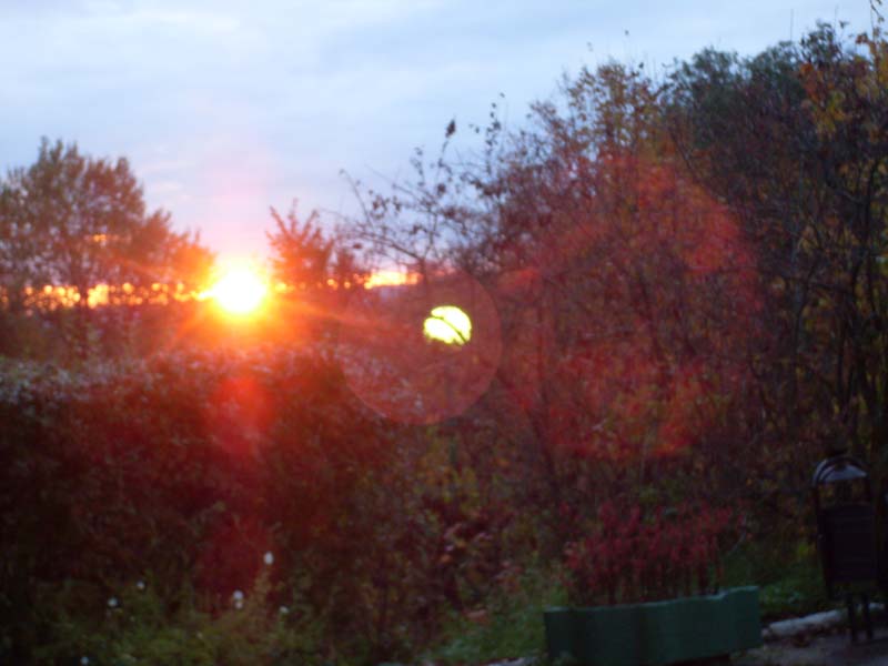 SDC14187