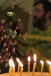IMG_7146