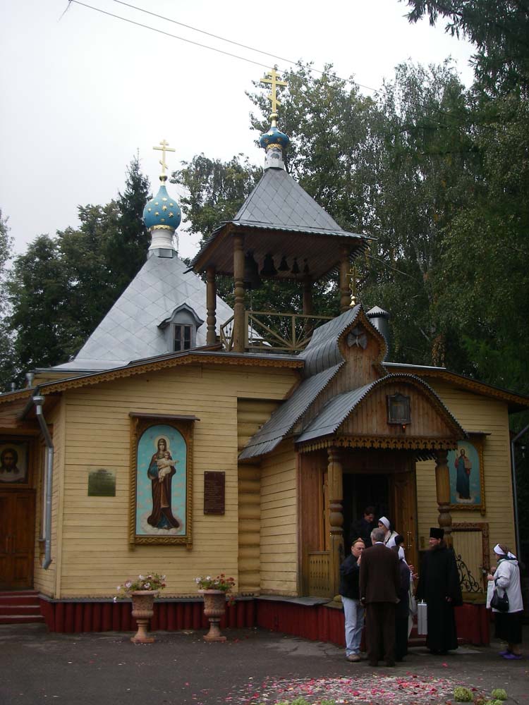 IMGP3331