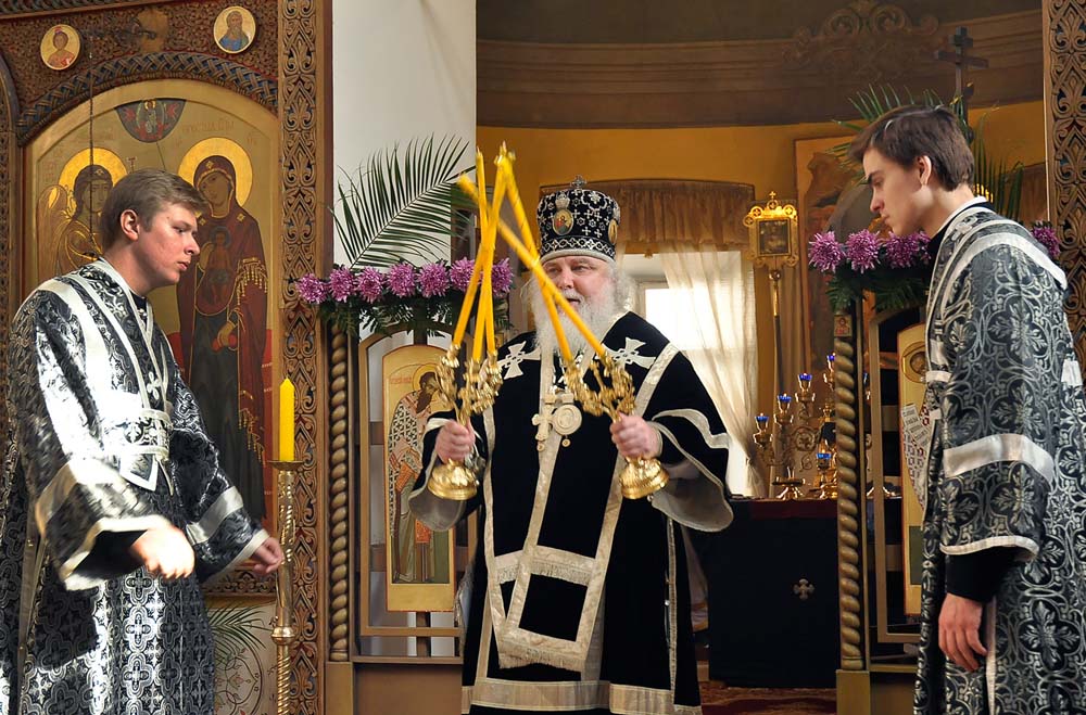 _DSC0323